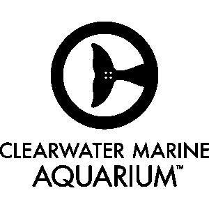 Clearwater Marine Aquarium