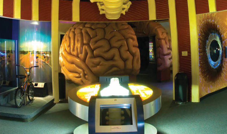  Source: tmc.edu 