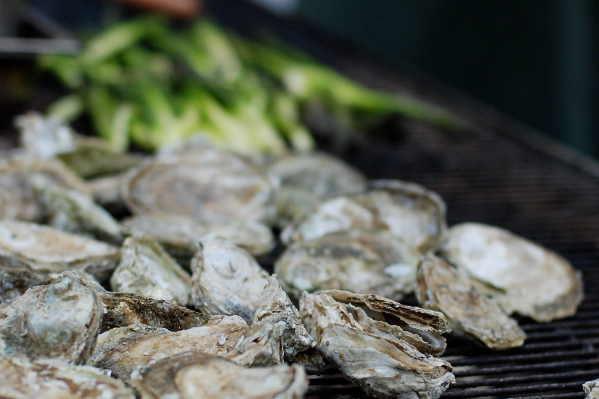   Grilled Oysters at       Woodberry Kitchen, Source: kslee  
