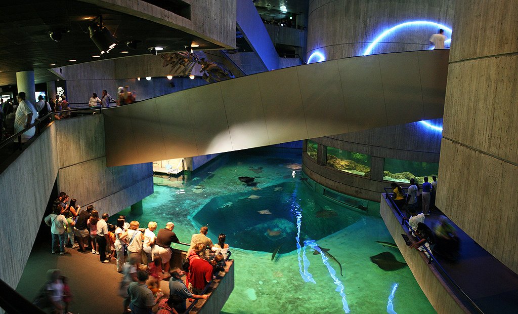   National Aquarium in Baltimore, Source: Brian Wilson  