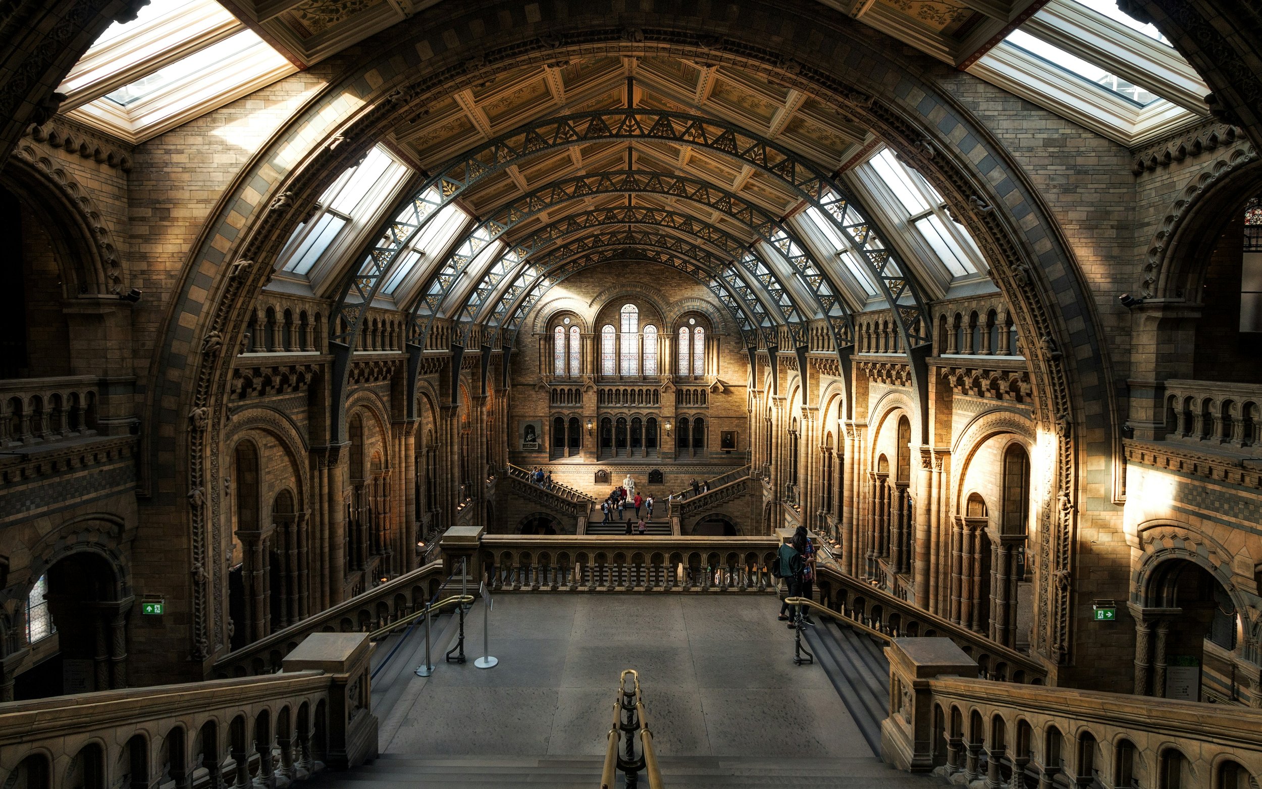  Brown Cathedral at the Natural History Museum, London by Claudio Testa 