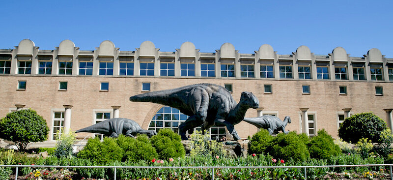   Fernbank Museum of Natural History  
