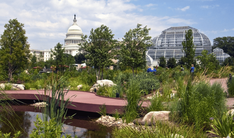   Image: U.S. Botanic Gardens, Source: https://www.usbg.gov/  