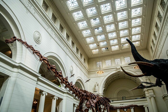  Máximo at the Field Museum 