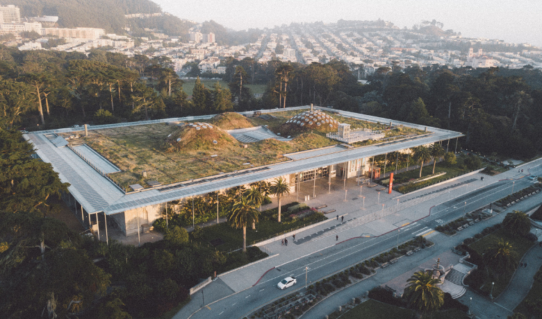   Image: The California Academy of Sciences’ Living Roof  