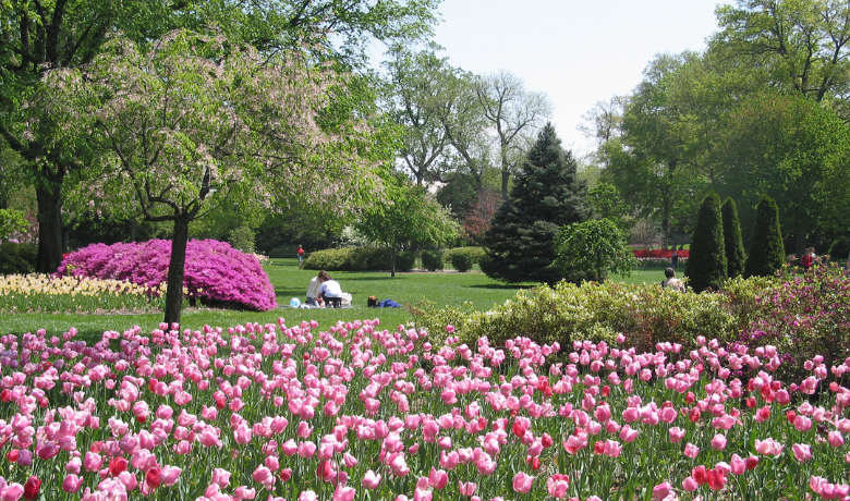   Source: Sherwood Gardens  