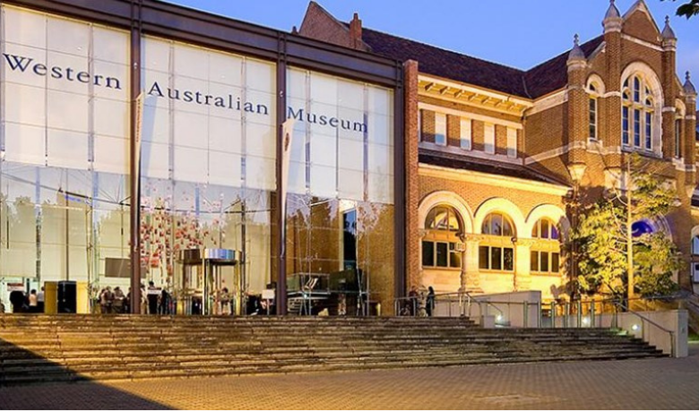   Image: Western Australia Museum, Source: https://museu.ms/  