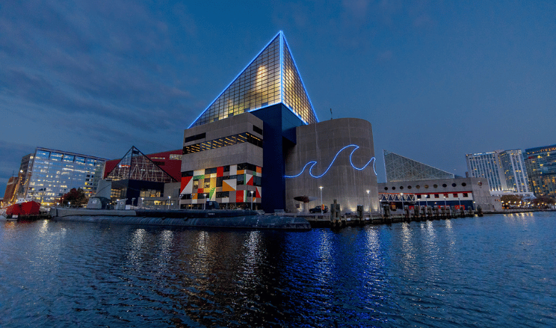   Image: National Aquarium, Source: https://aqua.org/  