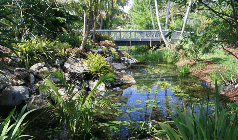   Image: Mounts Botanical Garden, Source: https://www.publicgardens.org  