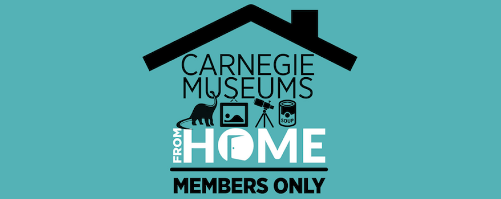   Source: Carnegie Museums  